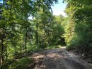 La Pâture (forêt de St Hip.)